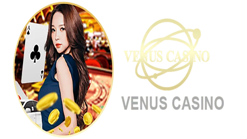 456BET6 Informações básicas sobre o saguão do cassino Venus